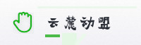 合作伙伴